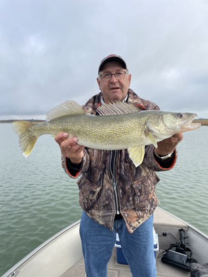 Walleye