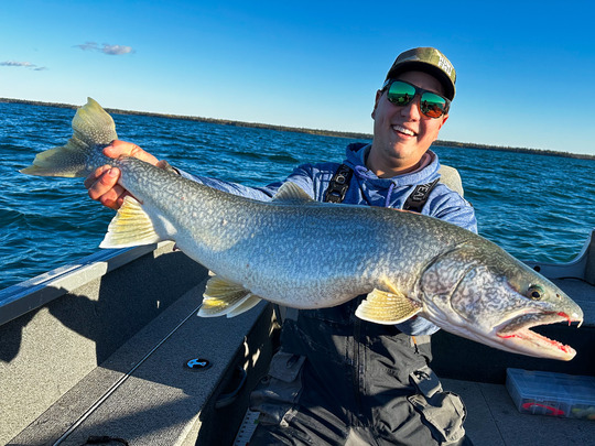 Lake Trout