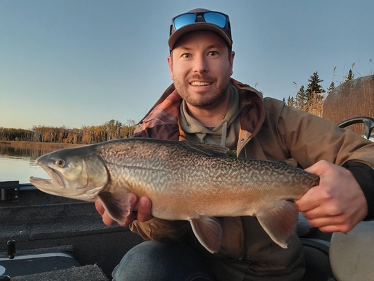Tiger Trout