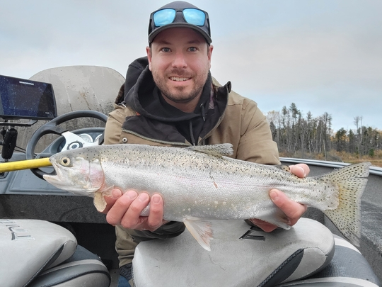 Rainbow Trout