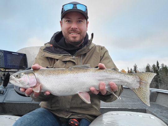 Rainbow Trout