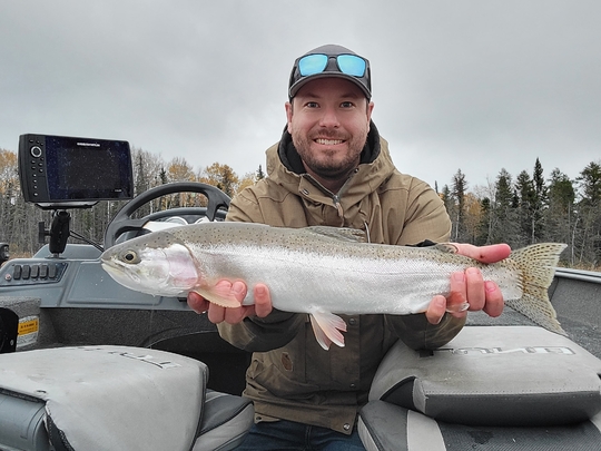 Rainbow Trout