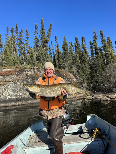 Northern Pike