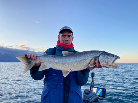 Lake Trout