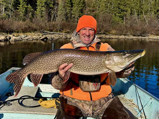 Northern Pike