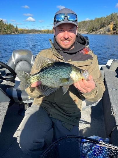 Black Crappie