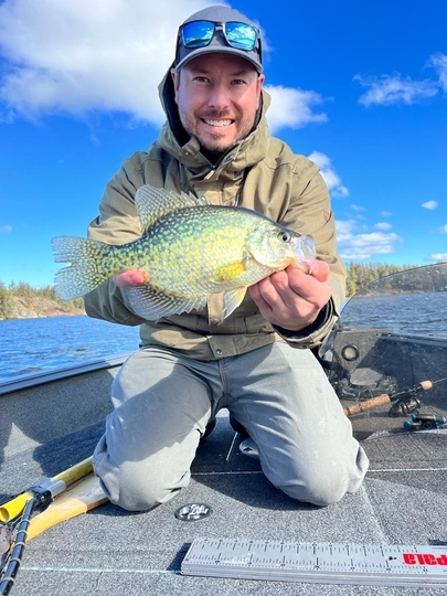 Black Crappie