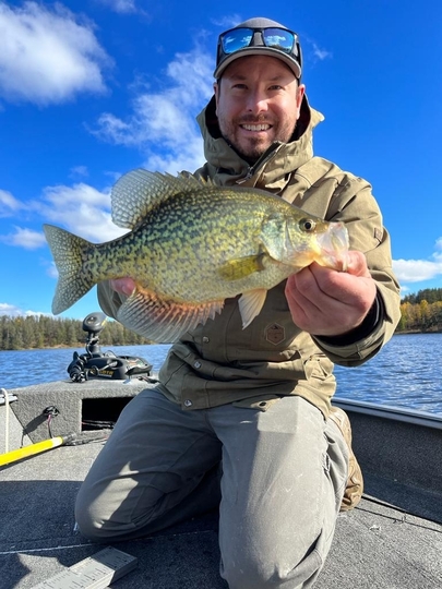 Black Crappie