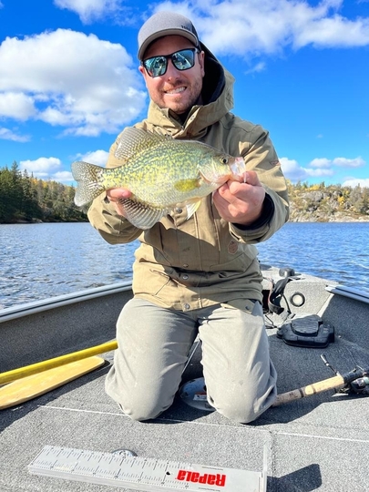 Black Crappie