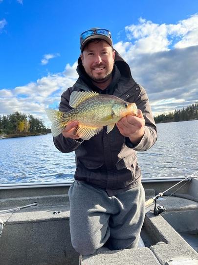 Black Crappie