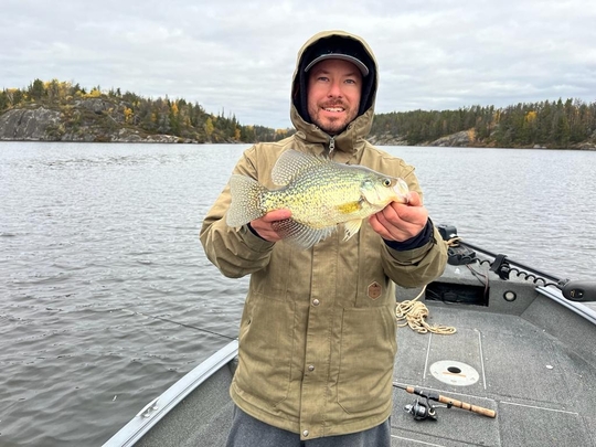 Black Crappie