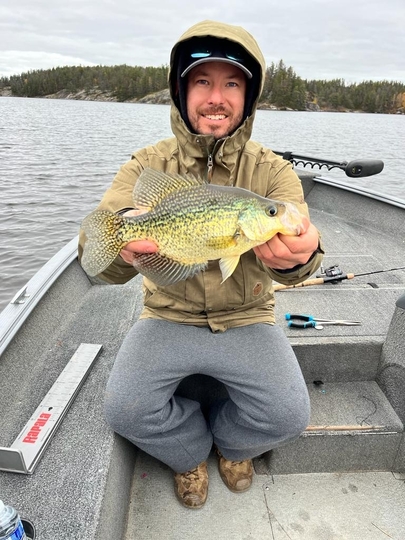 Black Crappie