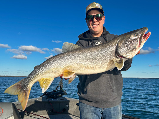 Lake Trout