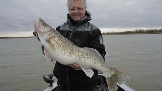 Walleye