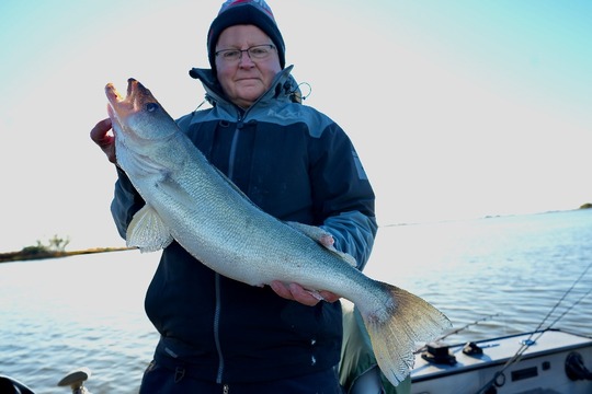 Walleye
