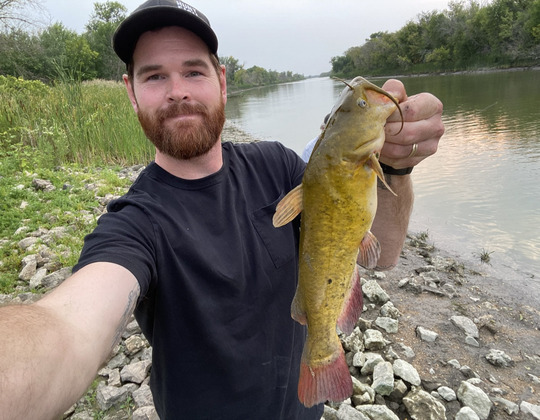 Bullhead