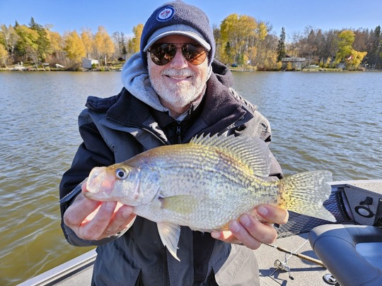 Black Crappie