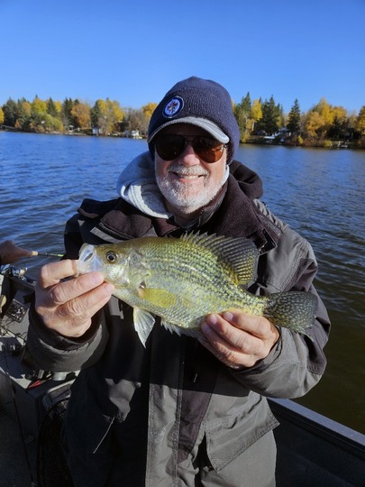 Black Crappie