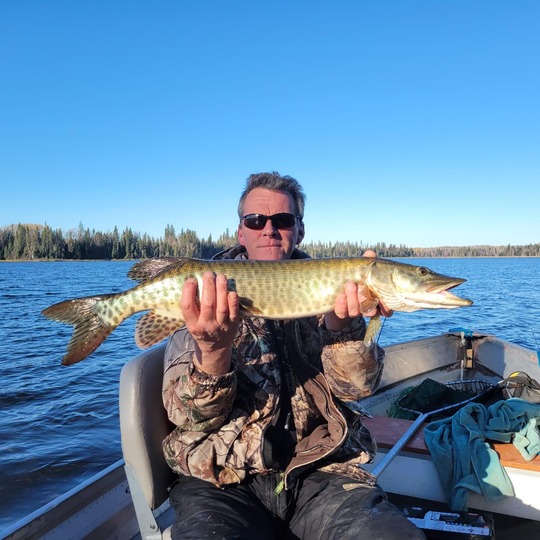 Muskellunge