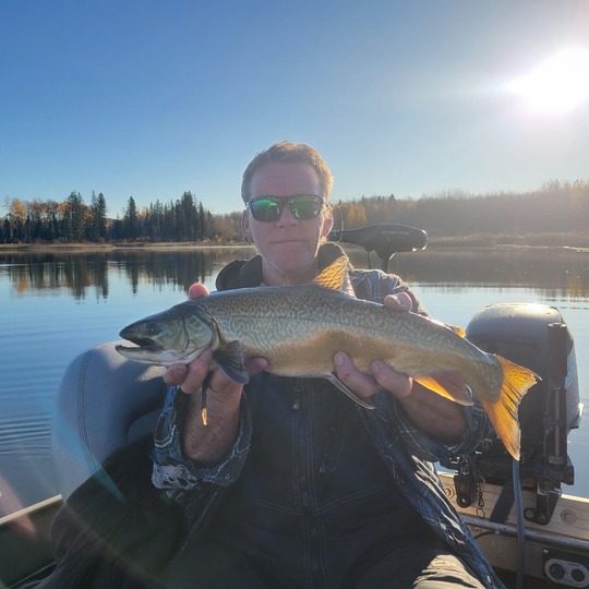 Tiger Trout