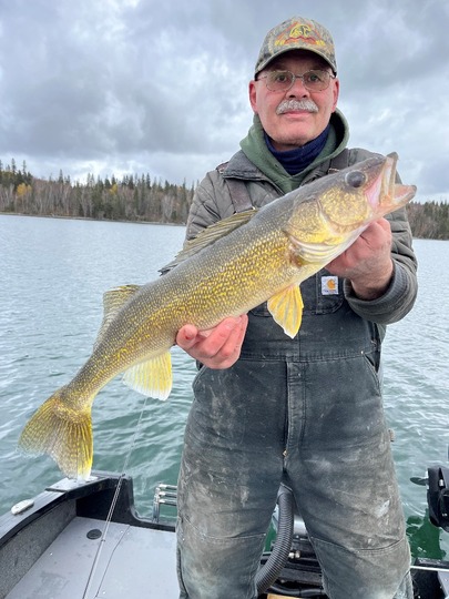 Walleye