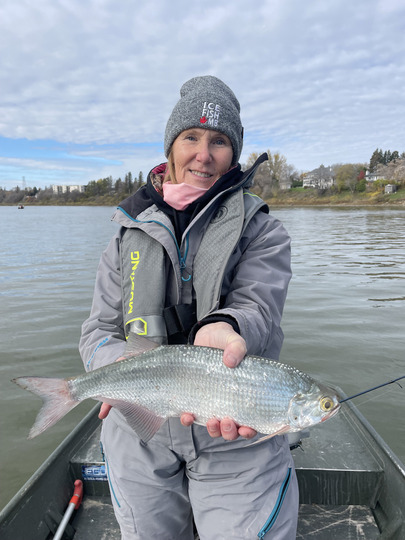 Goldeye