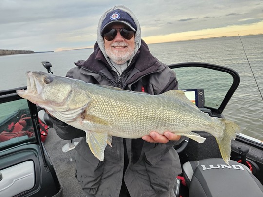 Walleye