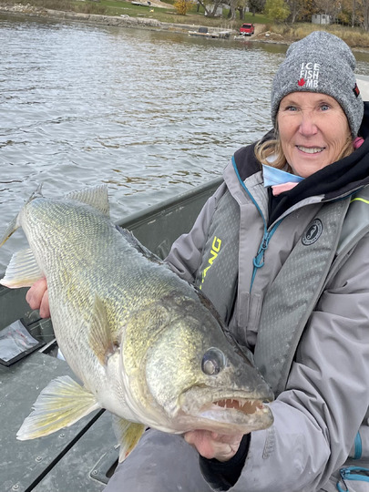 Walleye