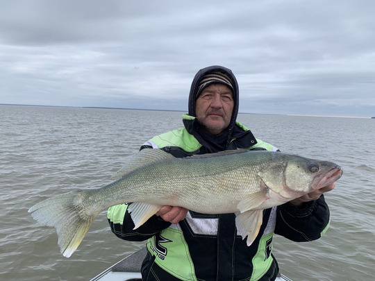 Walleye