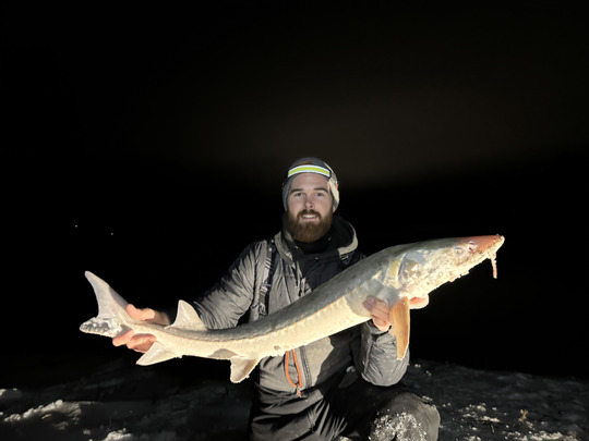 Lake Sturgeon
