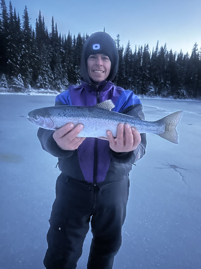 Rainbow Trout