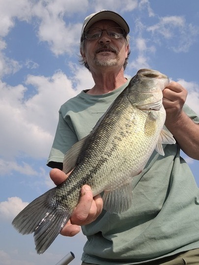 Largemouth Bass