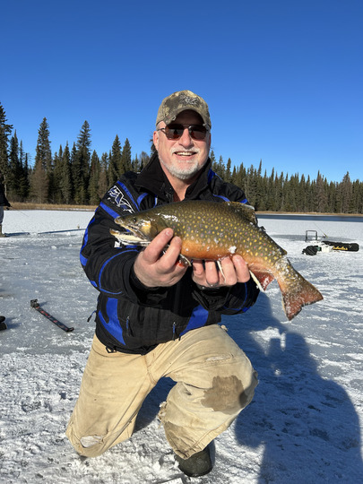 Brook Trout