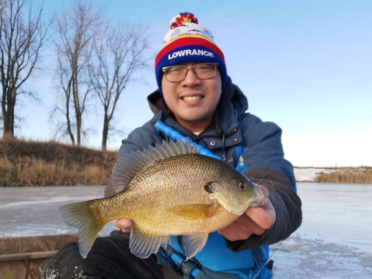 Sunfish