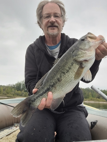 Largemouth Bass