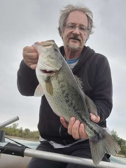 Largemouth Bass