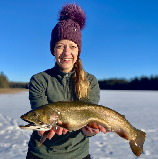 Brook Trout