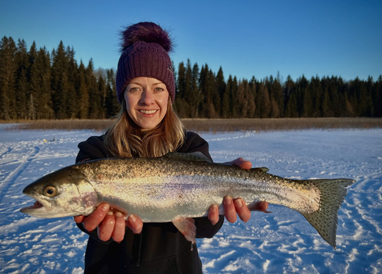 Rainbow Trout