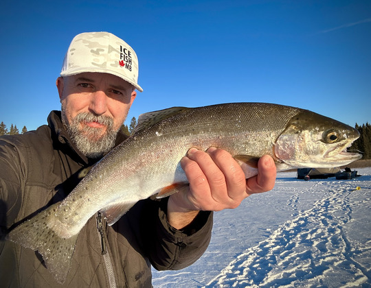 Rainbow Trout