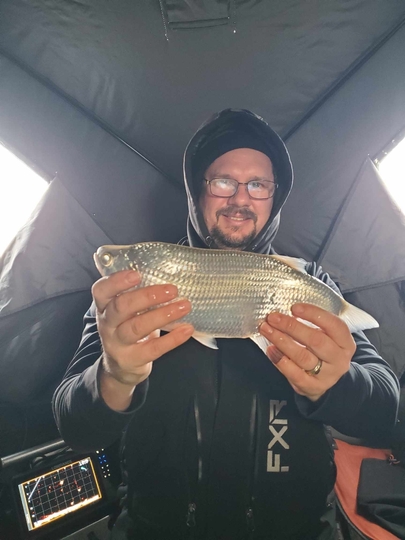 Goldeye