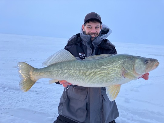Walleye