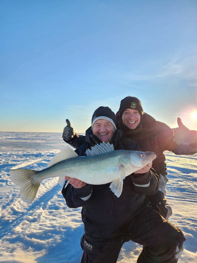 Walleye