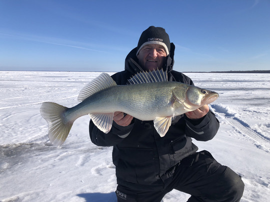 Walleye