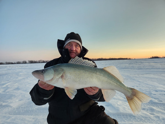 Walleye
