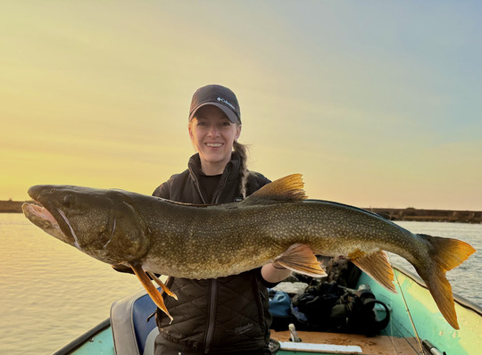 Lake Trout