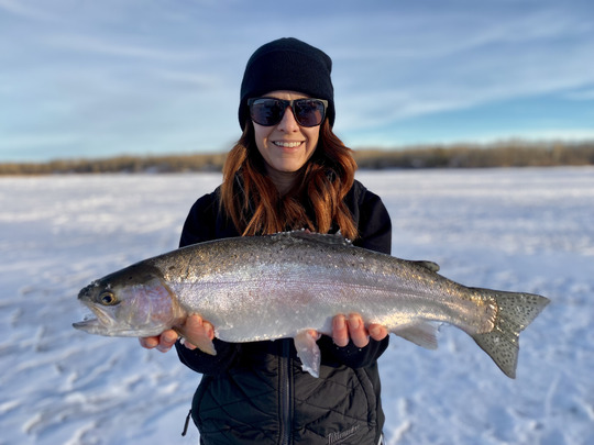Rainbow Trout