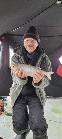 Goldeye