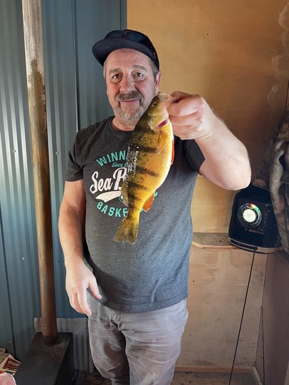 Yellow Perch