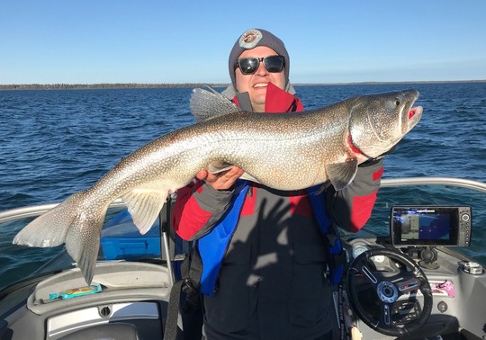Lake Trout