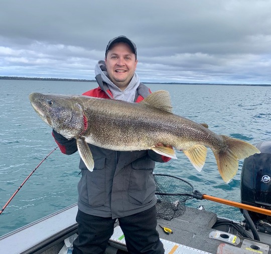 Lake Trout